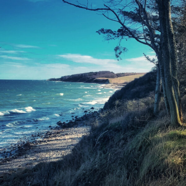 362EFF35-9D35-499B-84A5-9148AC11312F