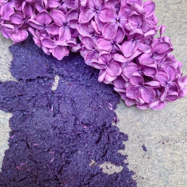 DA7455F7-9151-442D-8007-5600326A386C