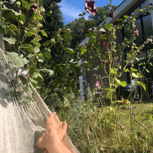 Skærmbillede 2025-04-10 kl. 21.25.48