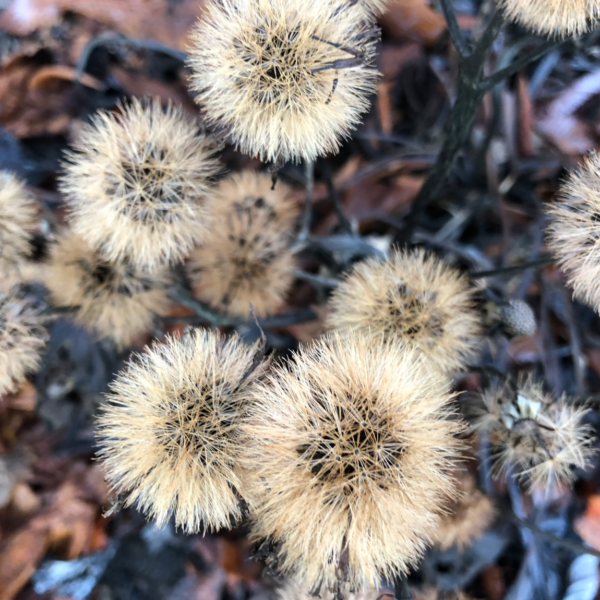 Skærmbillede 2025-04-10 kl. 21.25.58