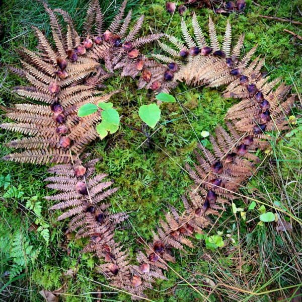 Skærmbillede 2025-04-10 kl. 21.26.10