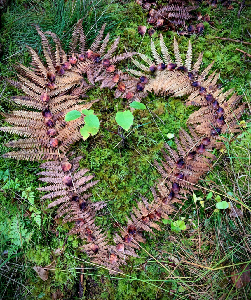 Skærmbillede 2025-04-10 kl. 21.26.10