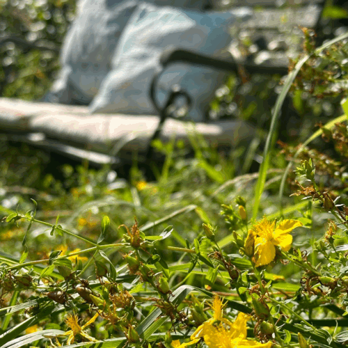 Skærmbillede 2025-06-02 kl. 13.50.40