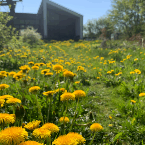 Skærmbillede 2025-06-02 kl. 13.51.04