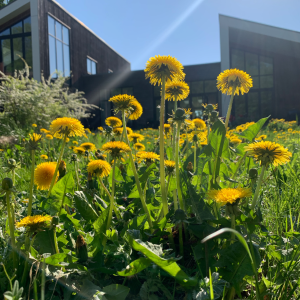 Skærmbillede 2025-04-10 kl. 21.25.16